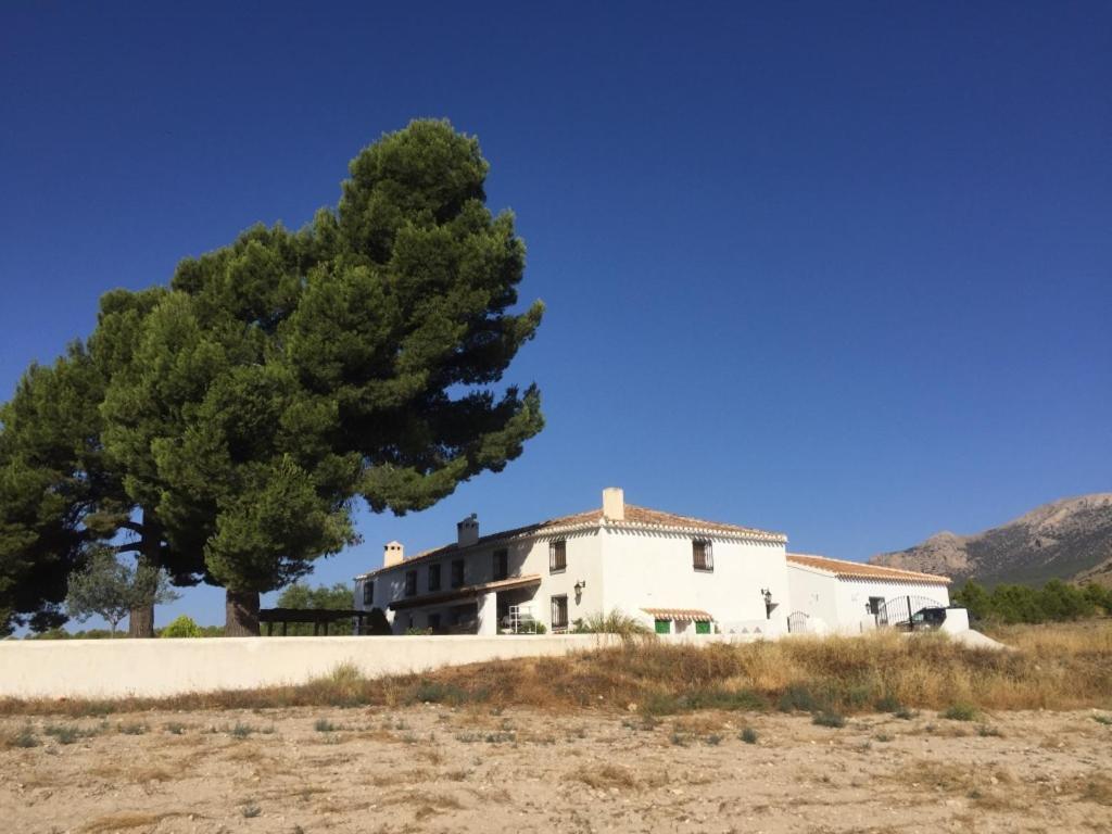 B&B Cortijo El Ciruelo Чиривель Экстерьер фото