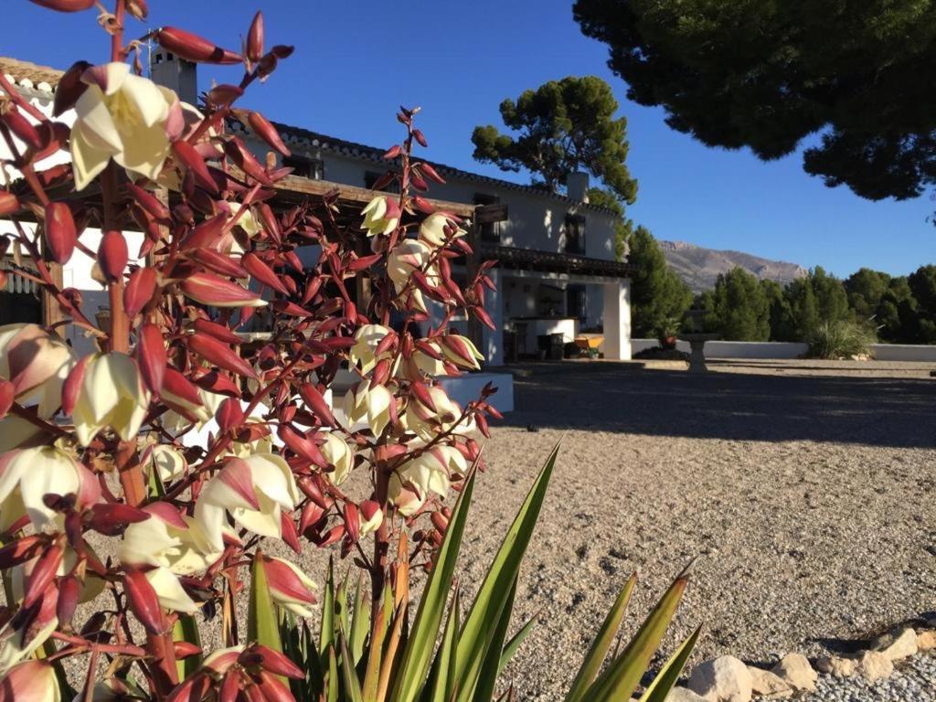 B&B Cortijo El Ciruelo Чиривель Экстерьер фото